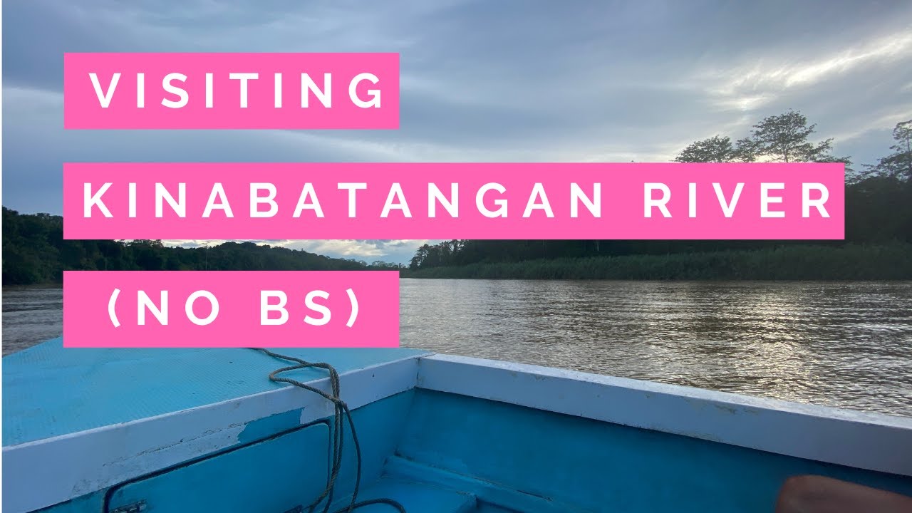 Kinabatangan River Cruise - Comple Walk Through Of What You Do