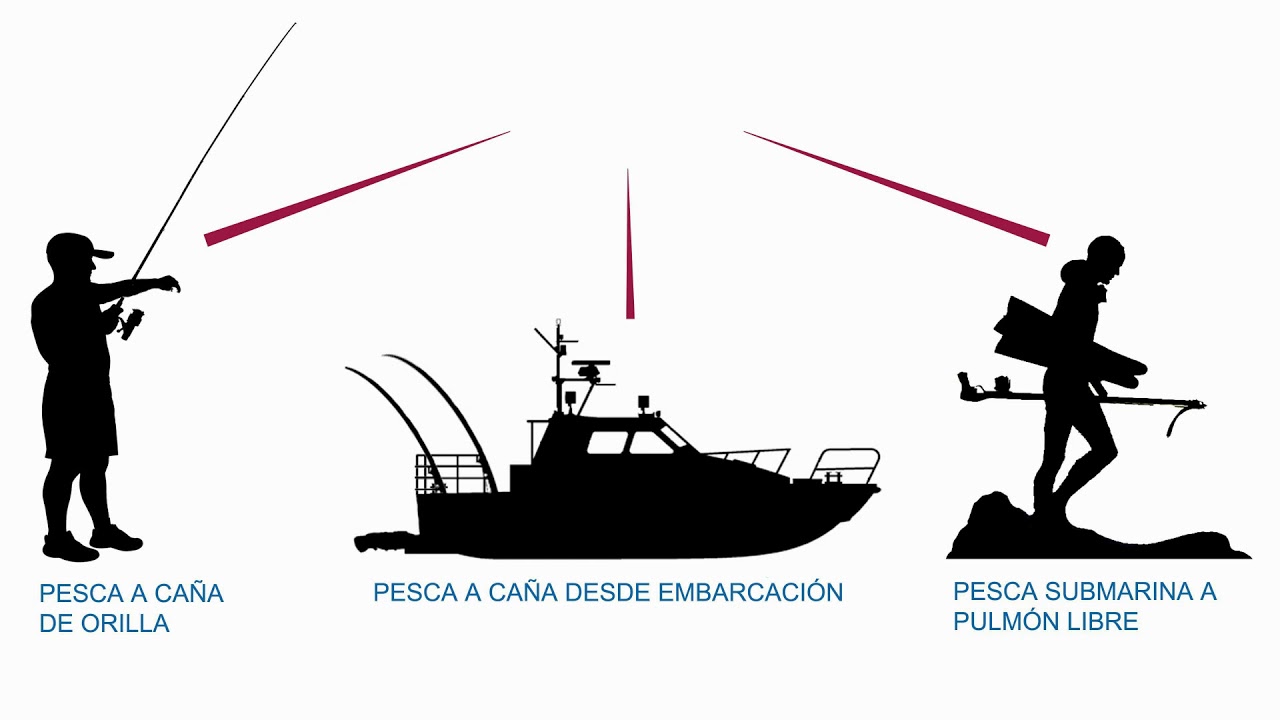 Zonas de Pesca Submarina en Canarias por ACPESUR
