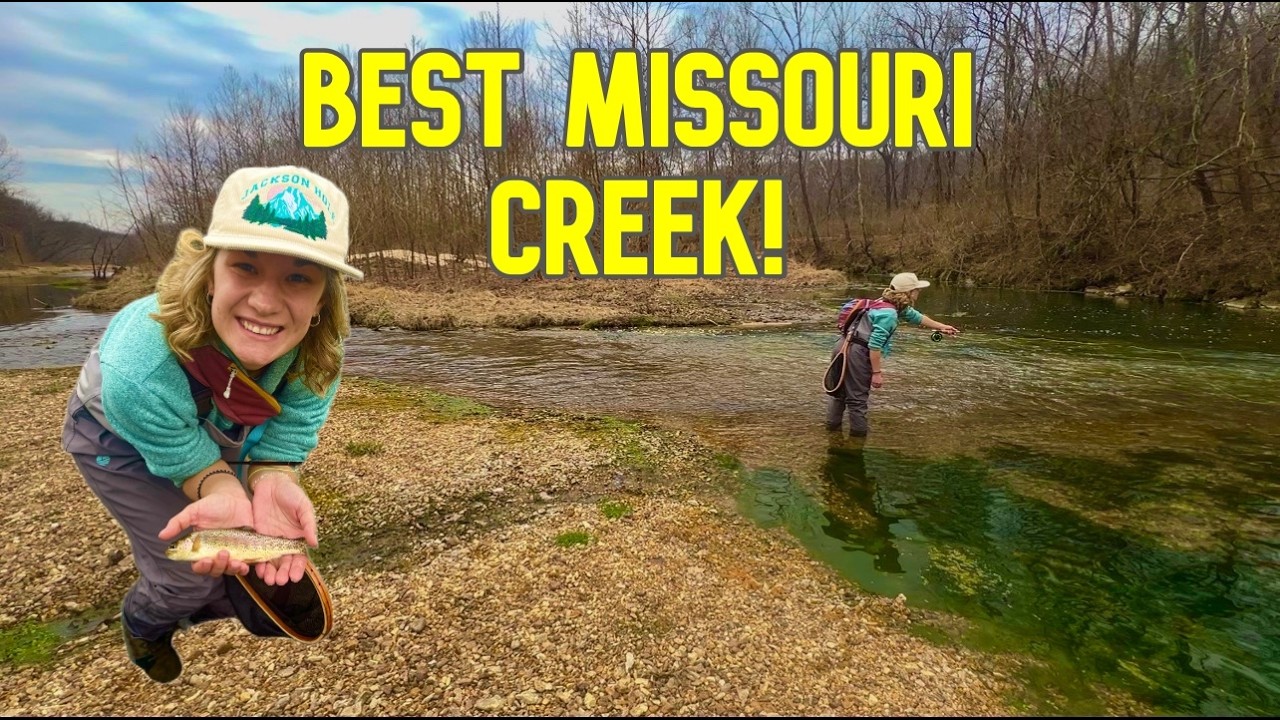 We Can't Stop Coming Back to This Creek! | Missouri Wild Trout Fly Fishing