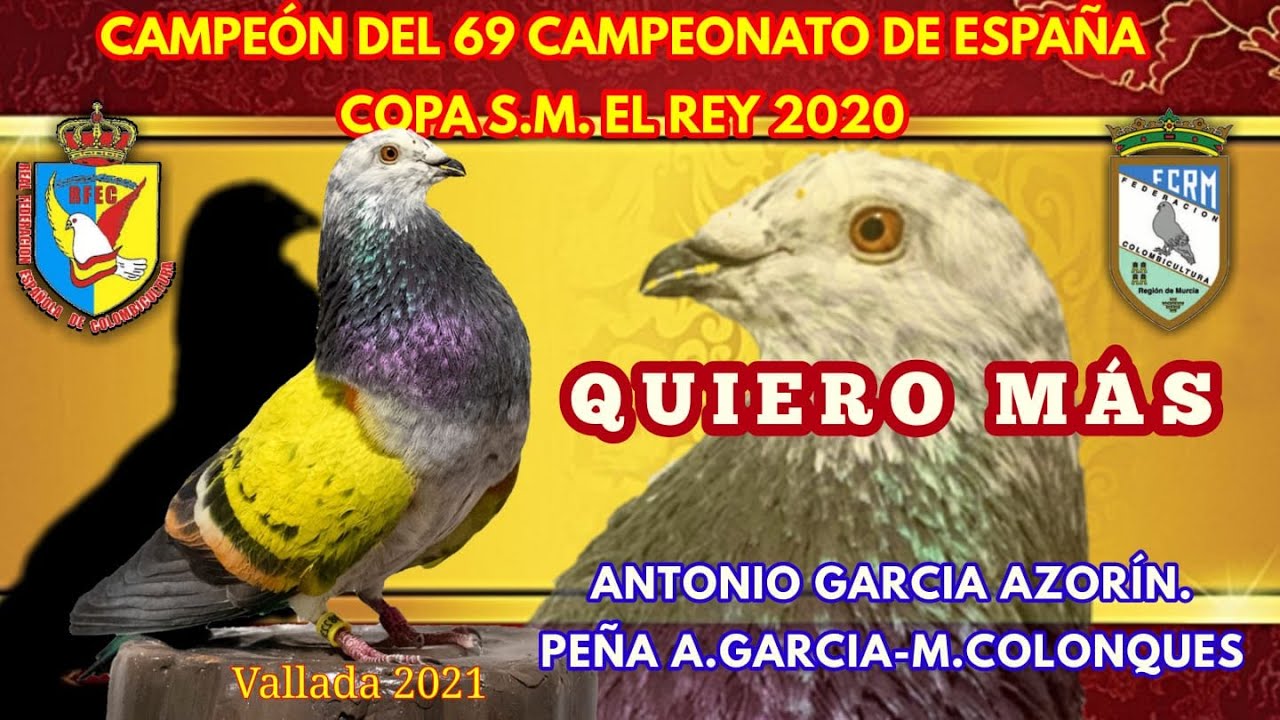 NACIONAL DE COLOMBICULTURA  2020  2021  VALLADA   6ª y ÚLTIMA PRUEBA