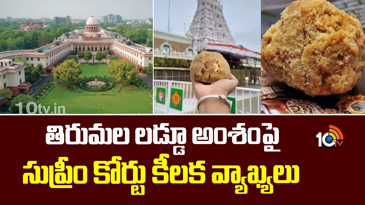 Supreme Court Comments on TTD Laddu Controversy | తిరుమల లడ్డూ అంశంపై సుప్రీం కోర్టు కీలక వ్యాఖ్యలు