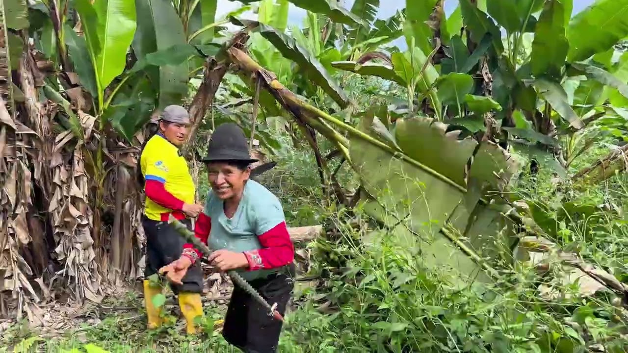 ¡No creerás todo lo que cosechamos en la huerta!