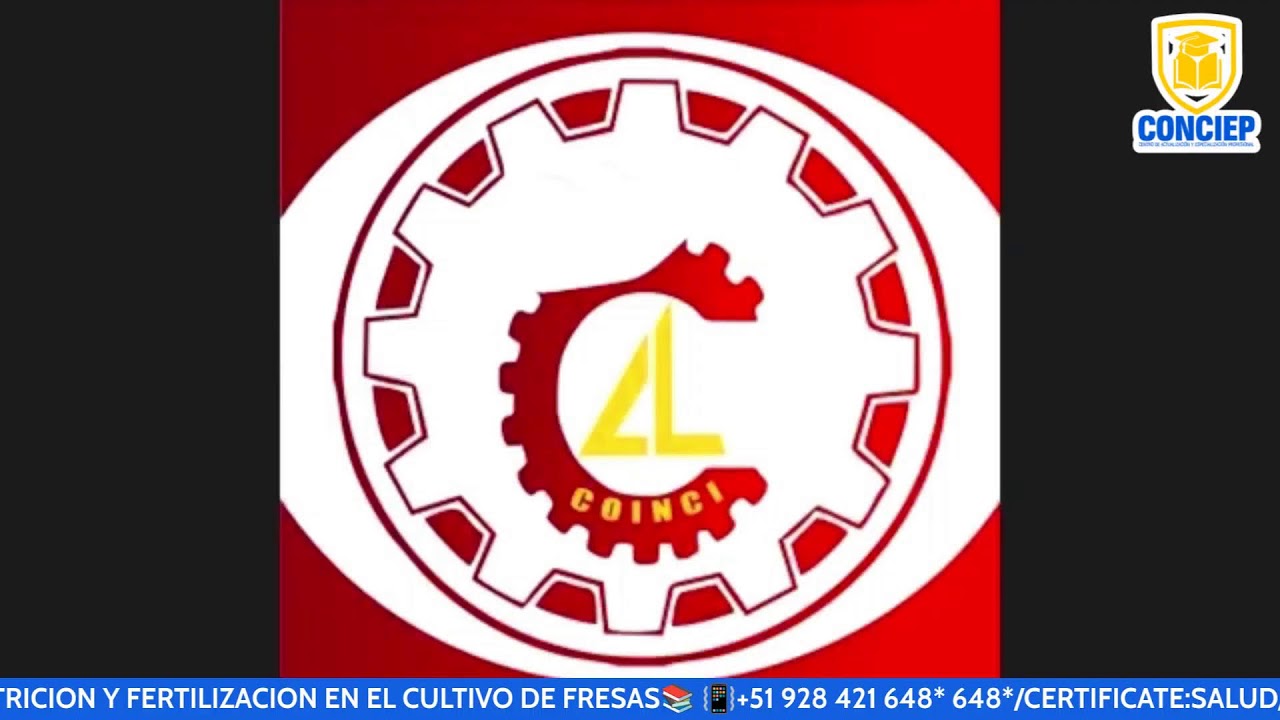 📚𝗖𝗨𝗥𝗦𝗢:NUTRICION Y FERTILIZACION EN EL CULTIVO DE FRESAS📚