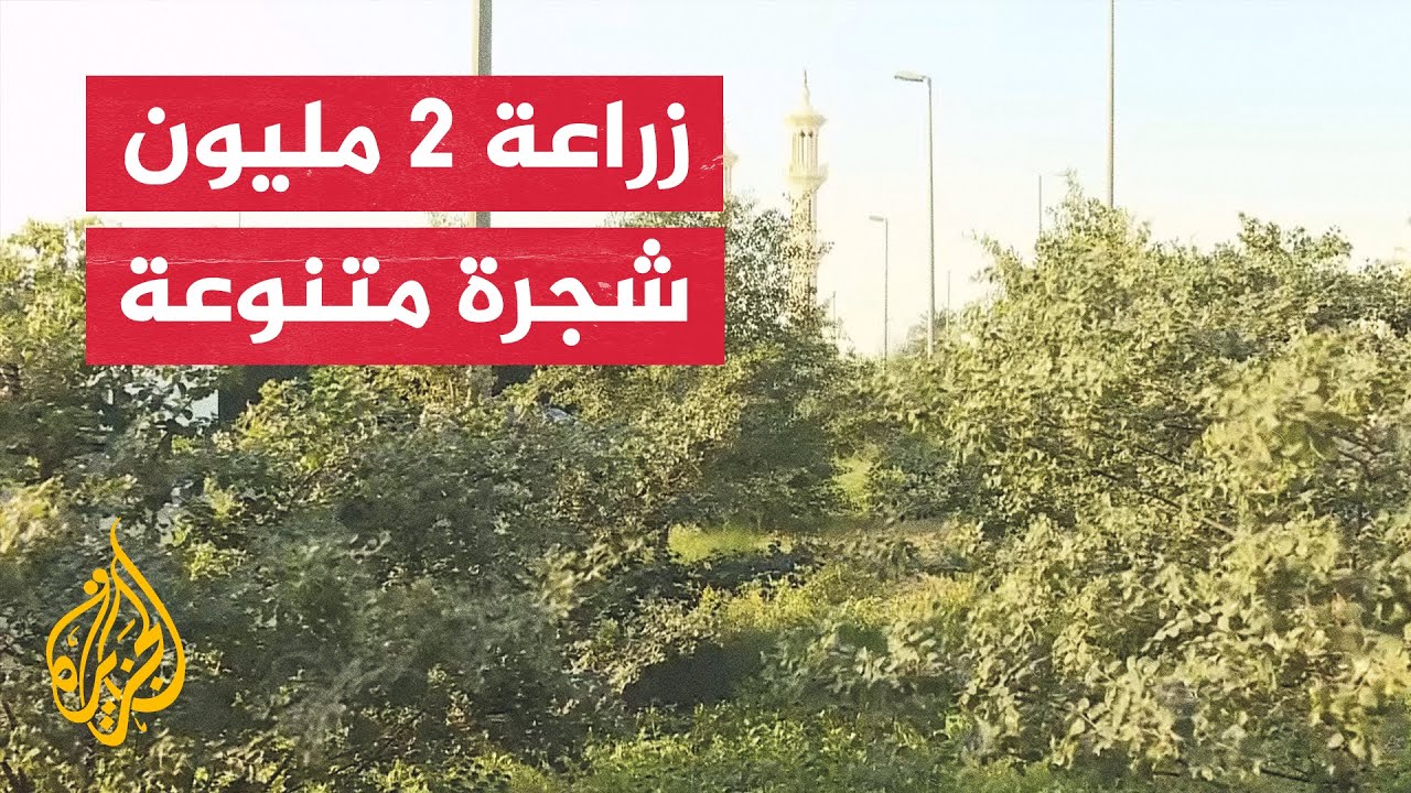 مبادرات أهلية وحكومية لزيادة التشجير والمساحات الخضراء في الكويت