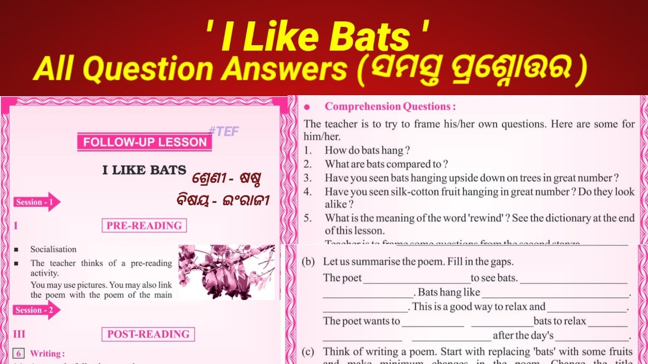 I Like Bats class 6 Question Answers English Comprehension question answers ।। My English Book ।।