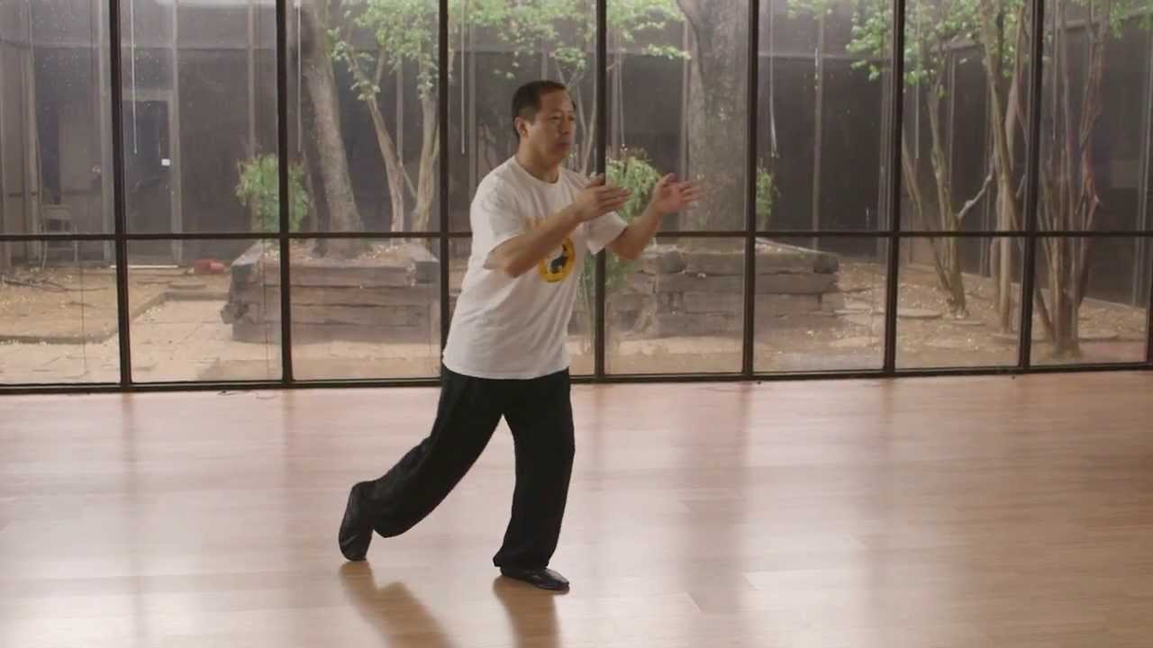 Sun Taijiquan - Master Wuzhong Jia