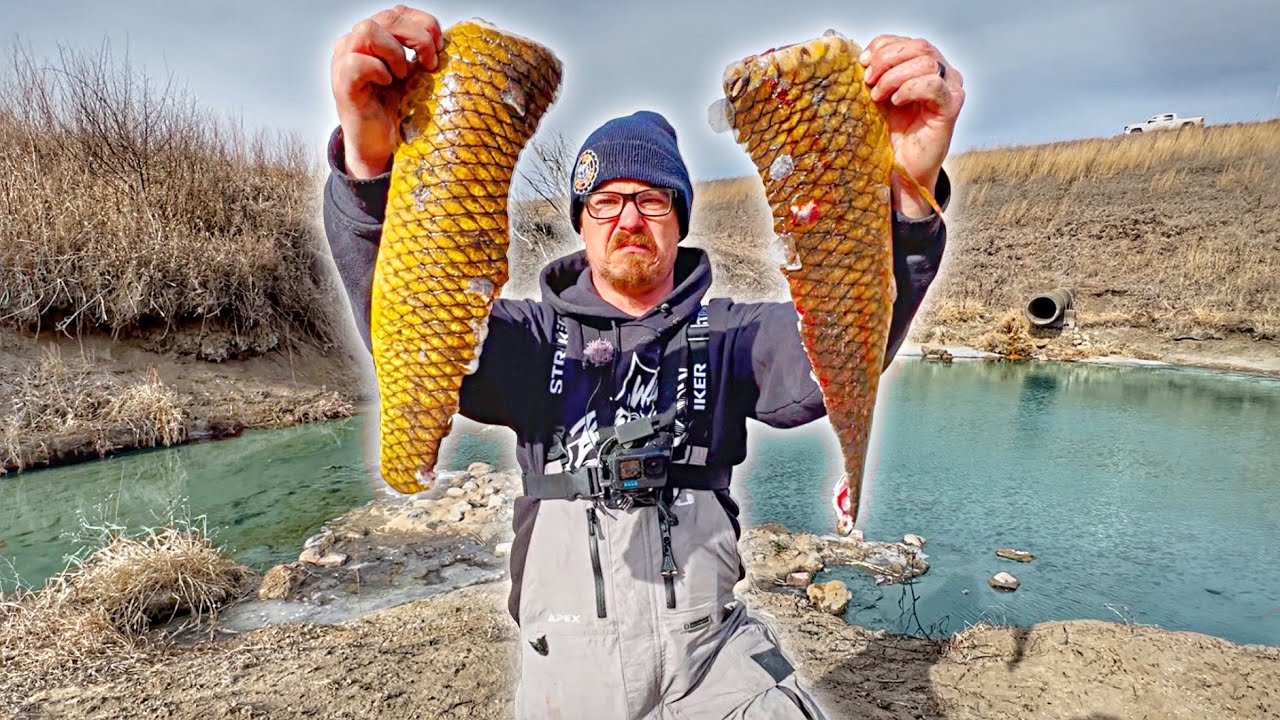 Tiny Spillway Carp CATCH CLEAN COOK!!! - Mtn Dew Smoked Carp Ribs