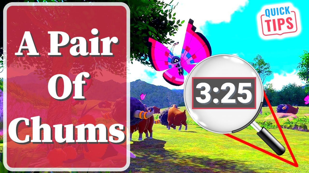 New Pokemon Snap - A Pair Of Chums - A Guide To A Pair Of Chums Request