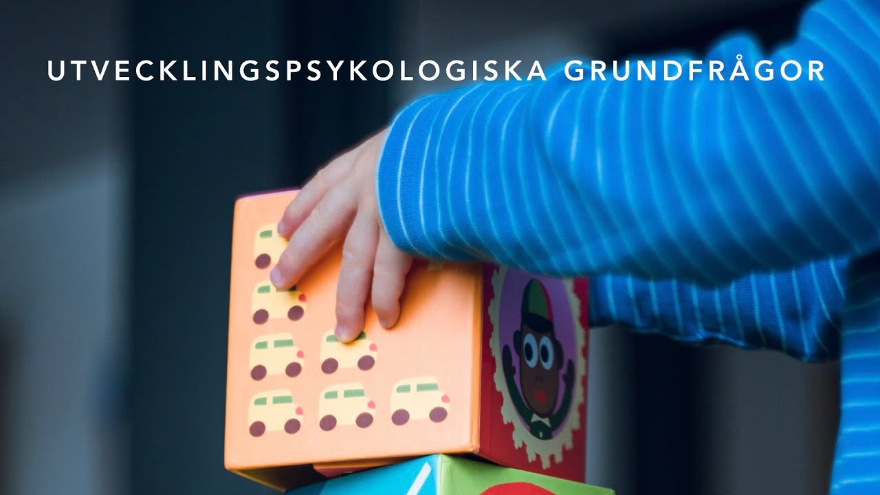 Utvecklingspykologiska grundfrågor