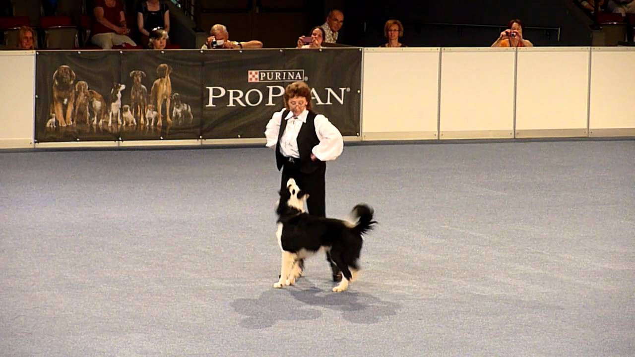 Galina & Moja Nadezhda Rolly Royce - World Championship in Dogdancing, Austria 2012