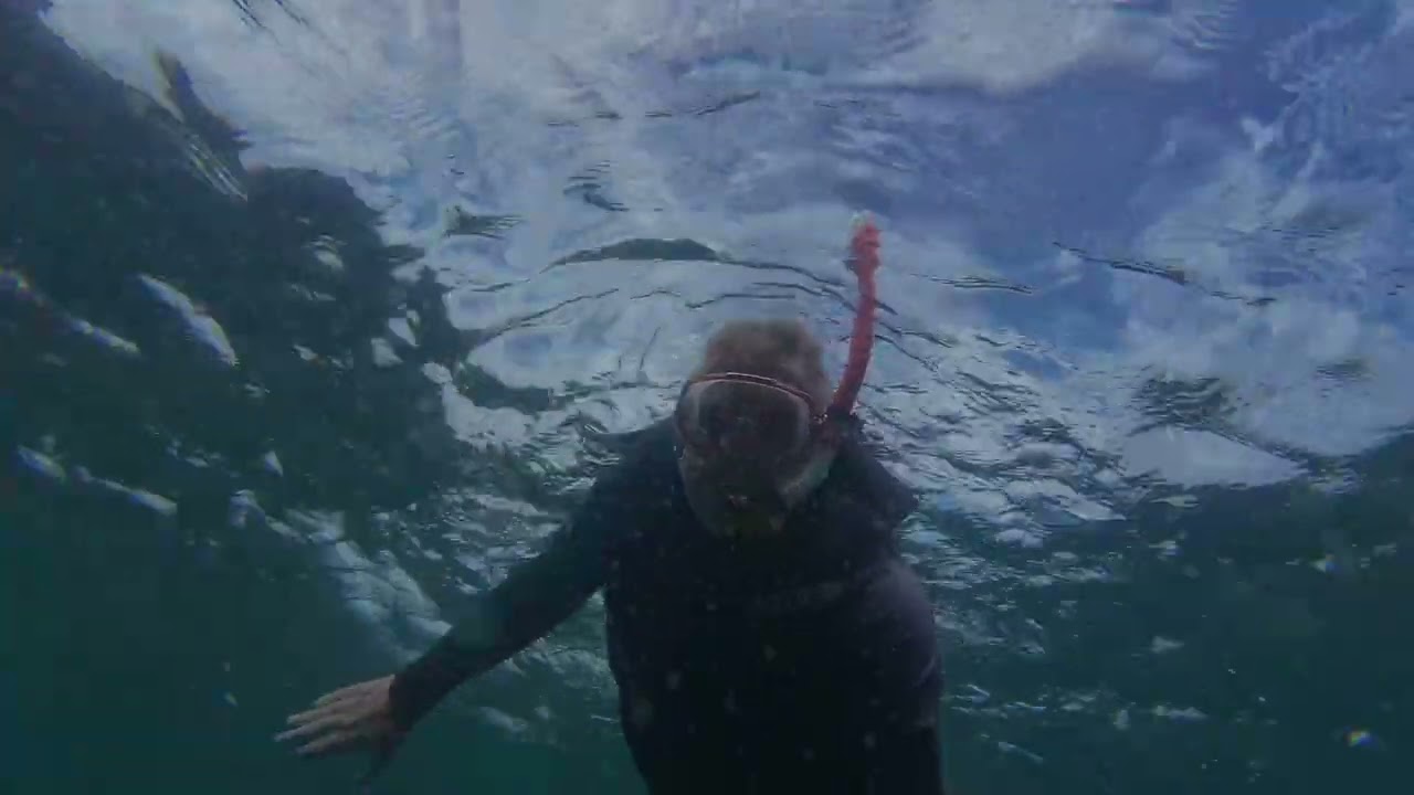 Snorkeling tour at Koh Talu, 2 hours driving south from Hua Hin.