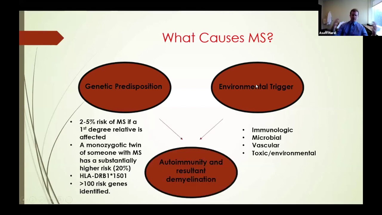 Neurology Series: Neuroimmunology with Dr. Asaff Harel
