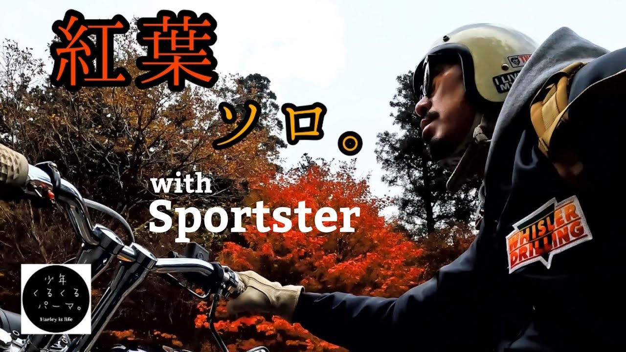 ハーレー【ソロキャンプツーリング】紅葉が綺麗なキャンプ場で、ぼっちすき焼き。