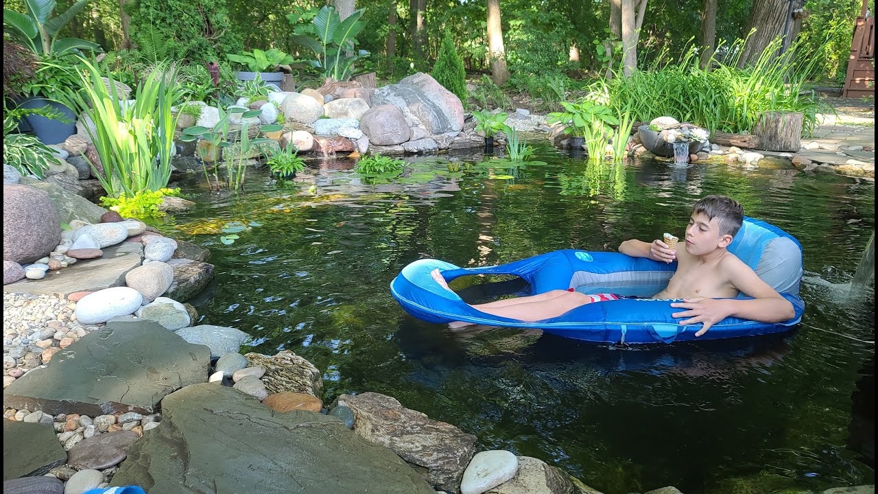 Best DIY Pond Filtration: intake bay, wetland filter & new waterfalls