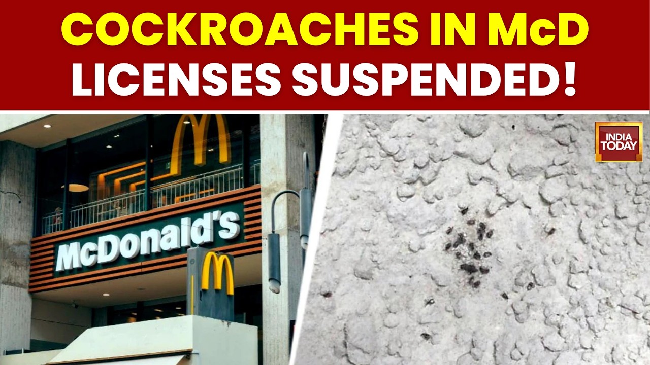 Рейд FDA в Мумбаи: тараканы и гнилая еда в McDonald's? Лицензия приостановлена | India Today