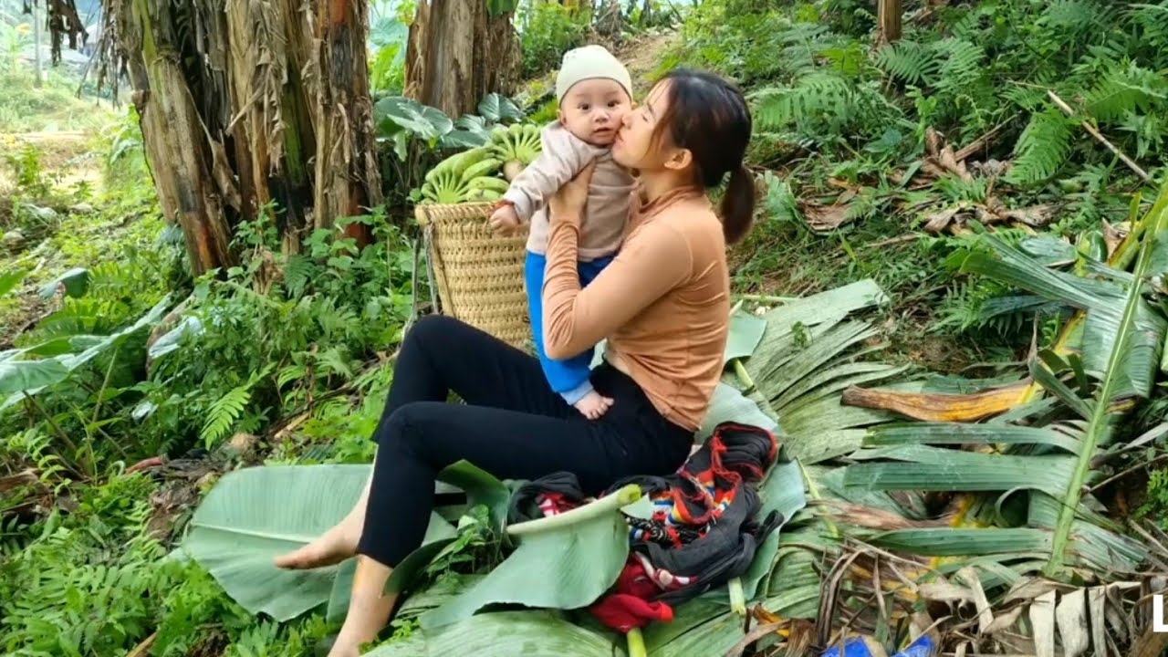 Single mother: Harvesting bananas to sell and boiling water to bathe her son / Ly Tieu Nhi