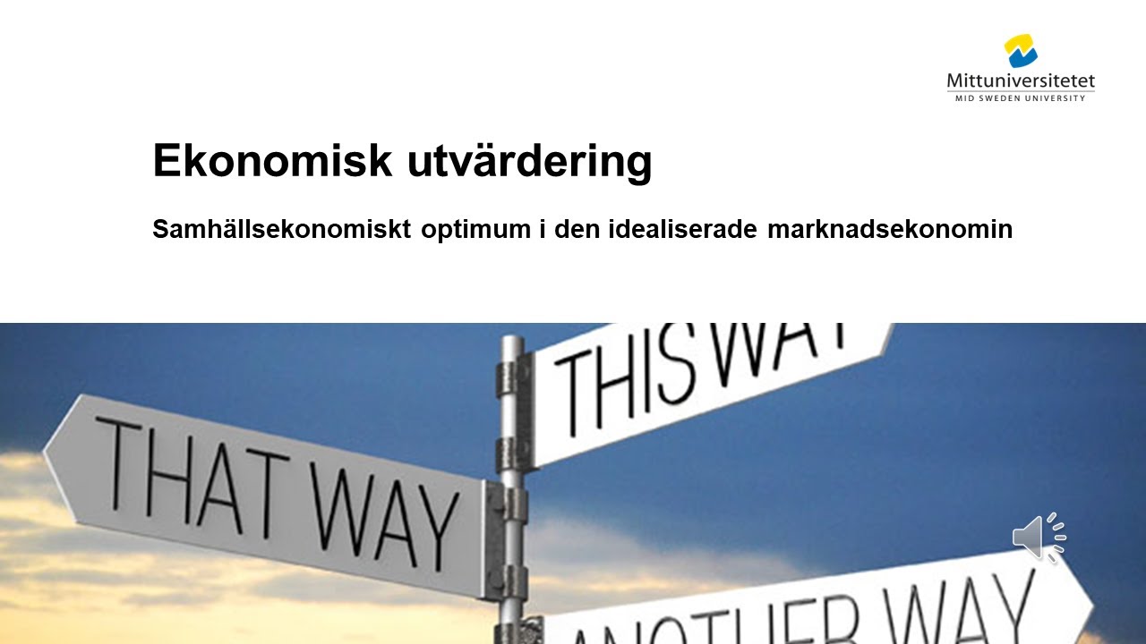 Samhällsekonomiskt optimum i den idealiserade marknadsekonomin