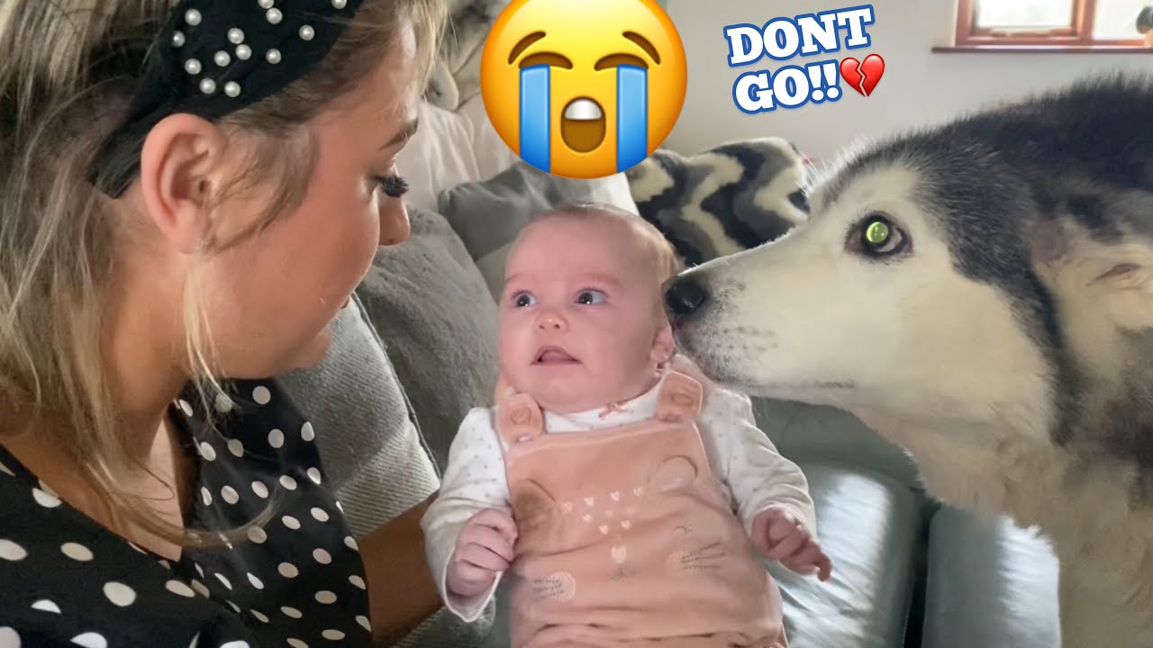 SHE LEFT US!!