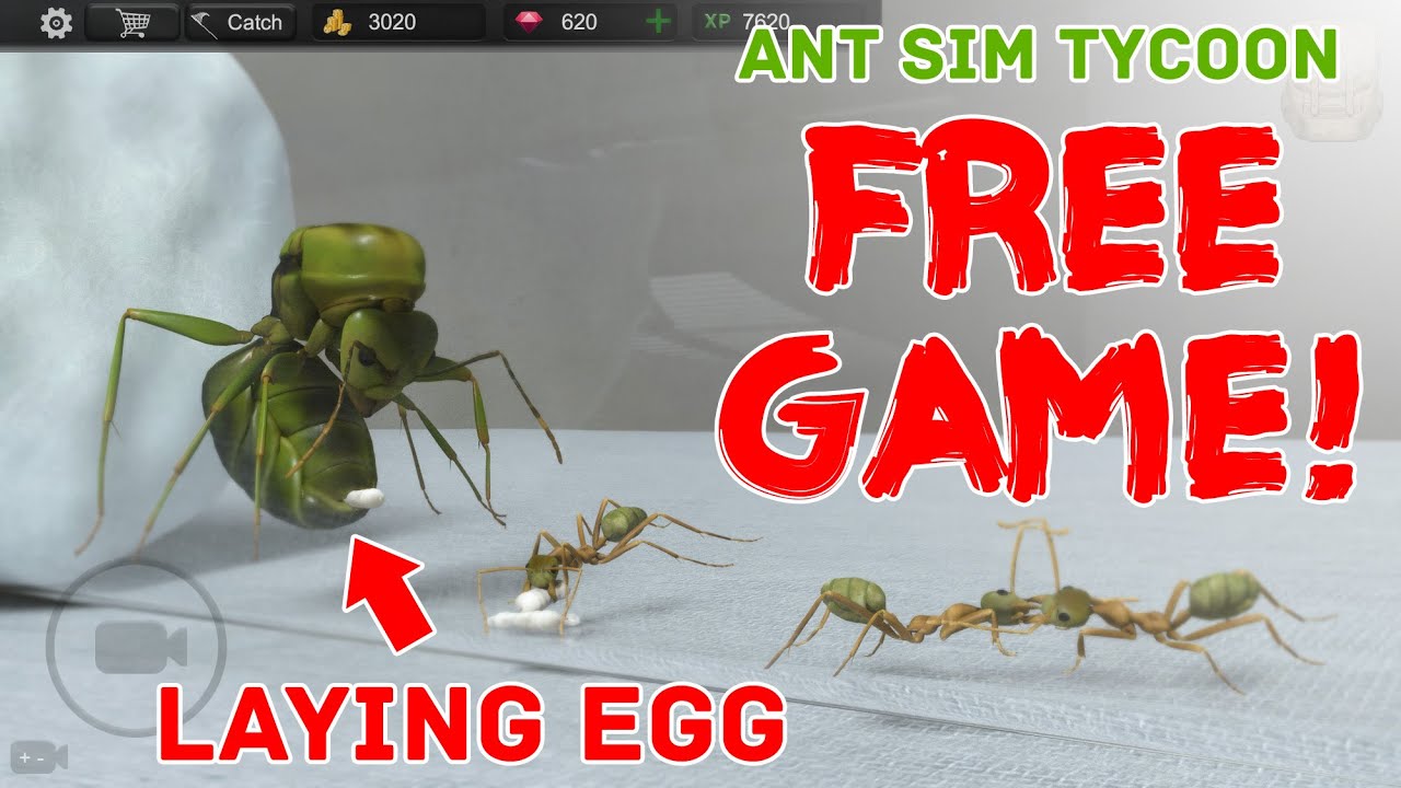 Ant Sim Tycoon - Free Mobile Game