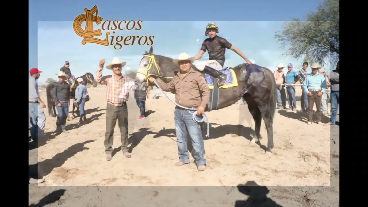 El Biscochito - El Chuny Gonzalez
