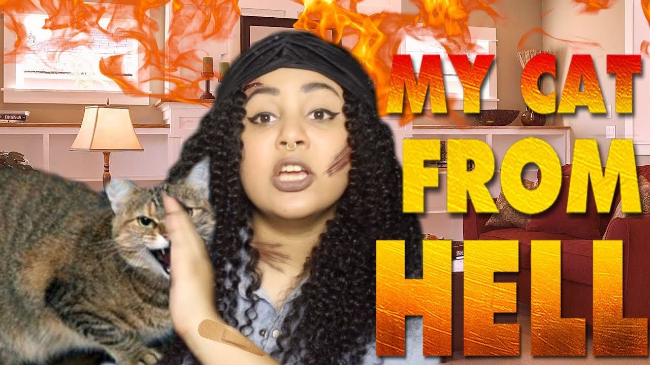 STORYTIME: MY CAT WAS EVIL! ADOPTING A HOOD CAT GONE WRONG