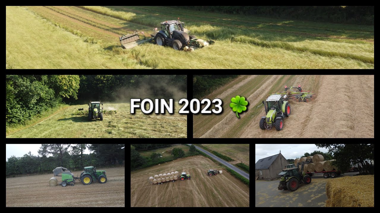FOIN 2023 🍀
