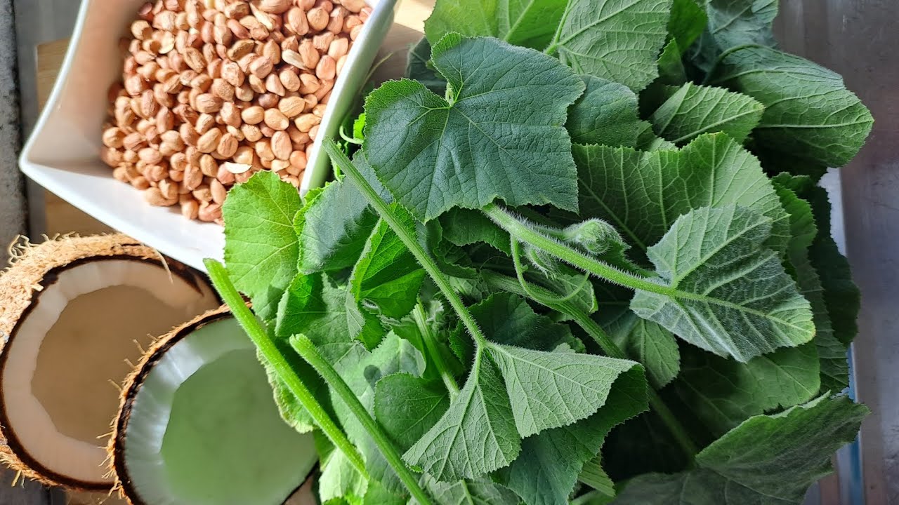 Receita de folhas de Abobora.