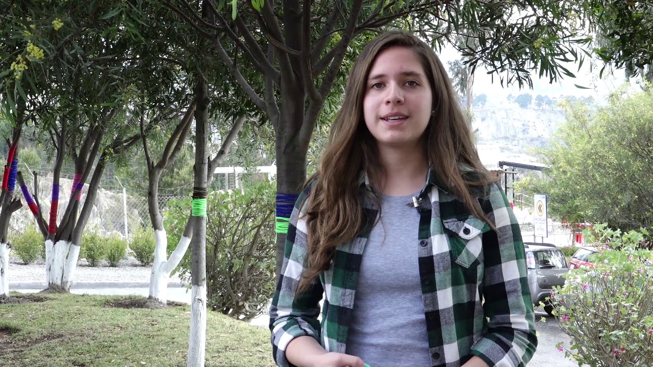 Colegio Vida y Verdad - UPB