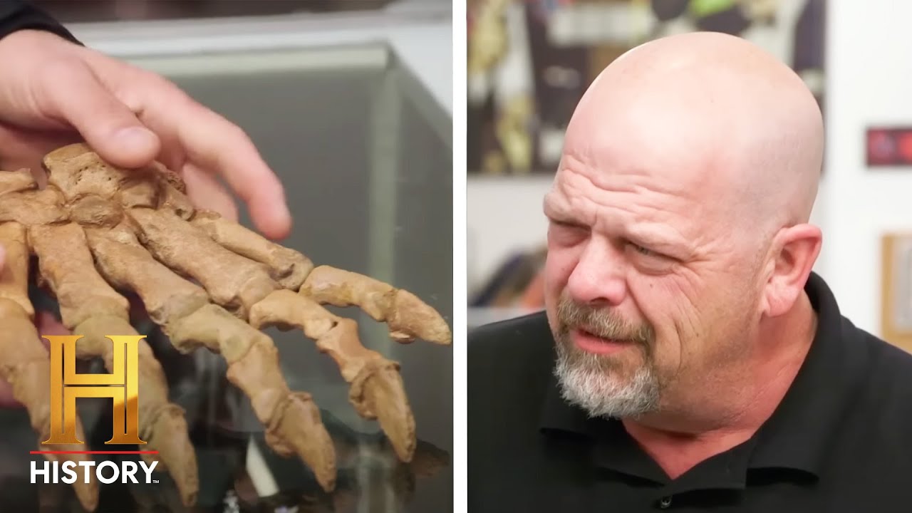 Pawn Stars: TOP PREHISTORIC PAWNS (3 Old, Rare & Expensive Items) | History