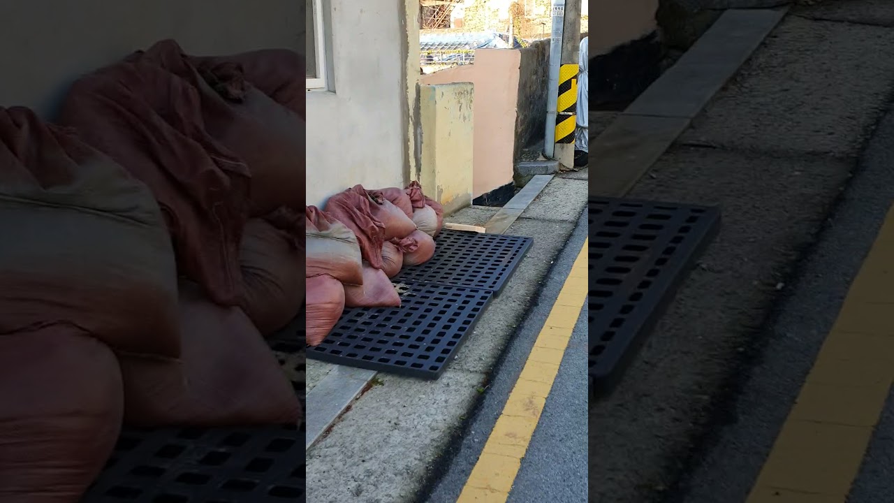 추억의온금동