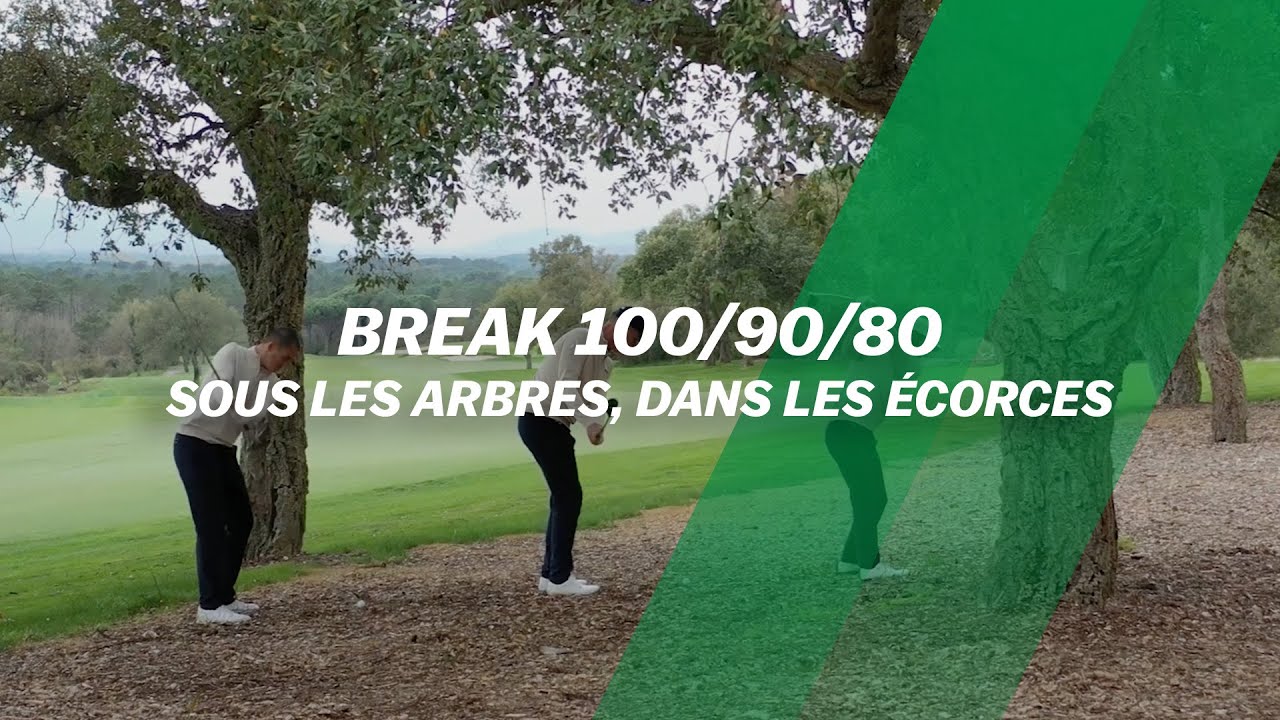 BREAK 100/90/80 : Sous les arbres, dans les écorces