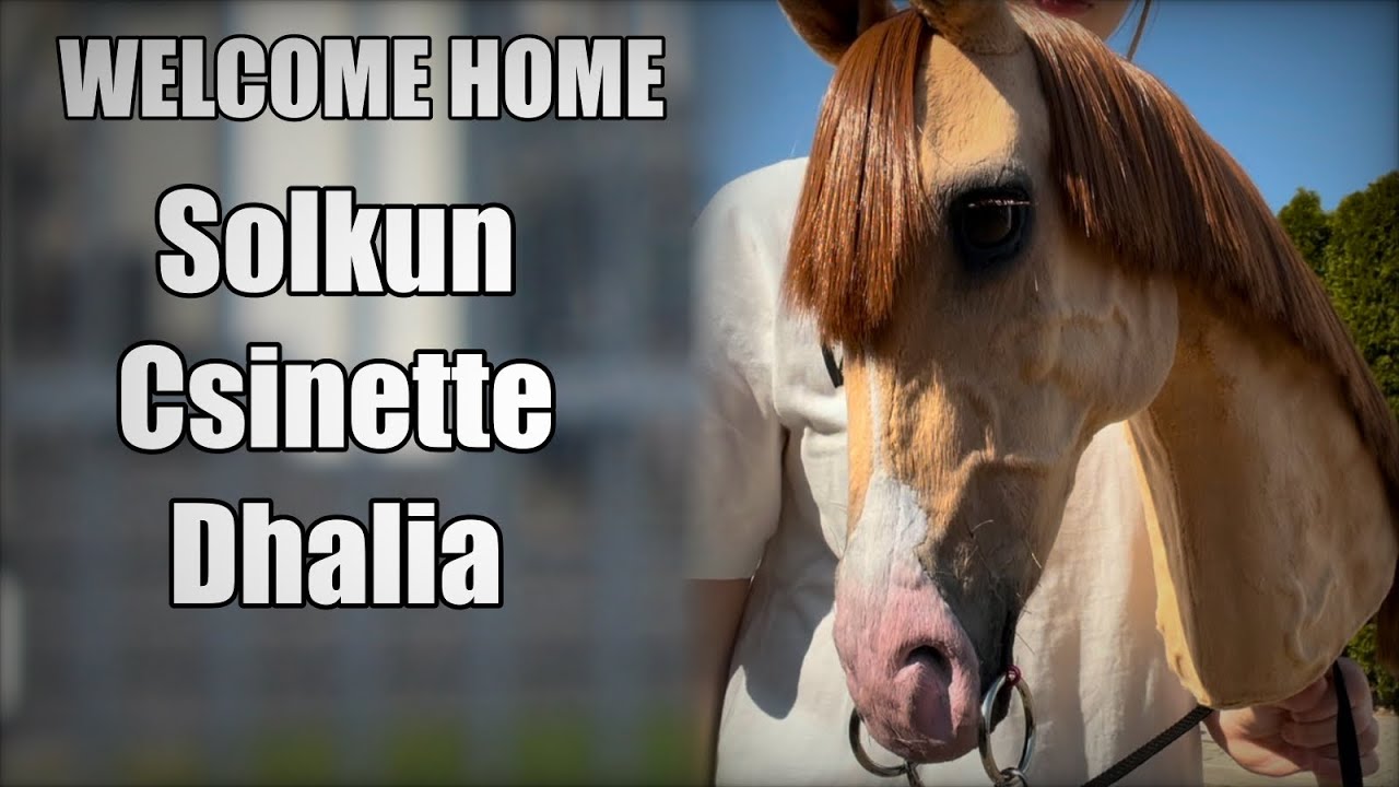 UNBOXING CINI // Solkun Csinette Dhalia // Hobby horse