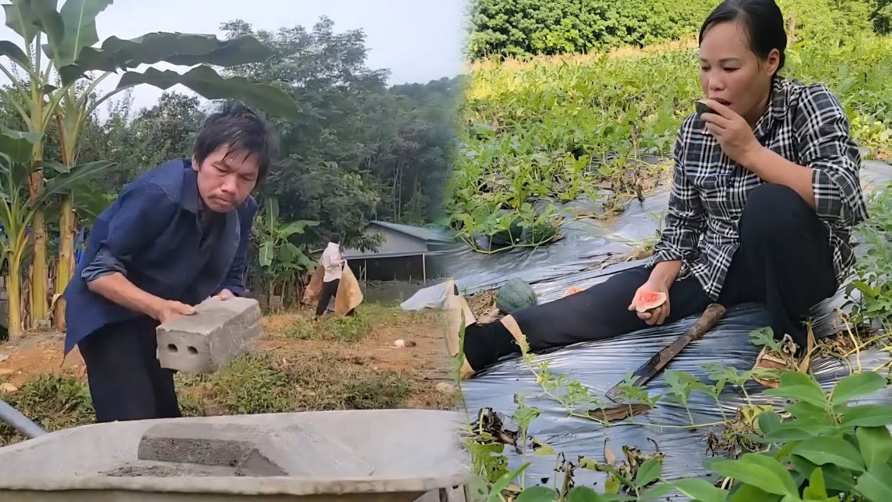 The old man went to the construction site, the mother harvested watermelons to sell.