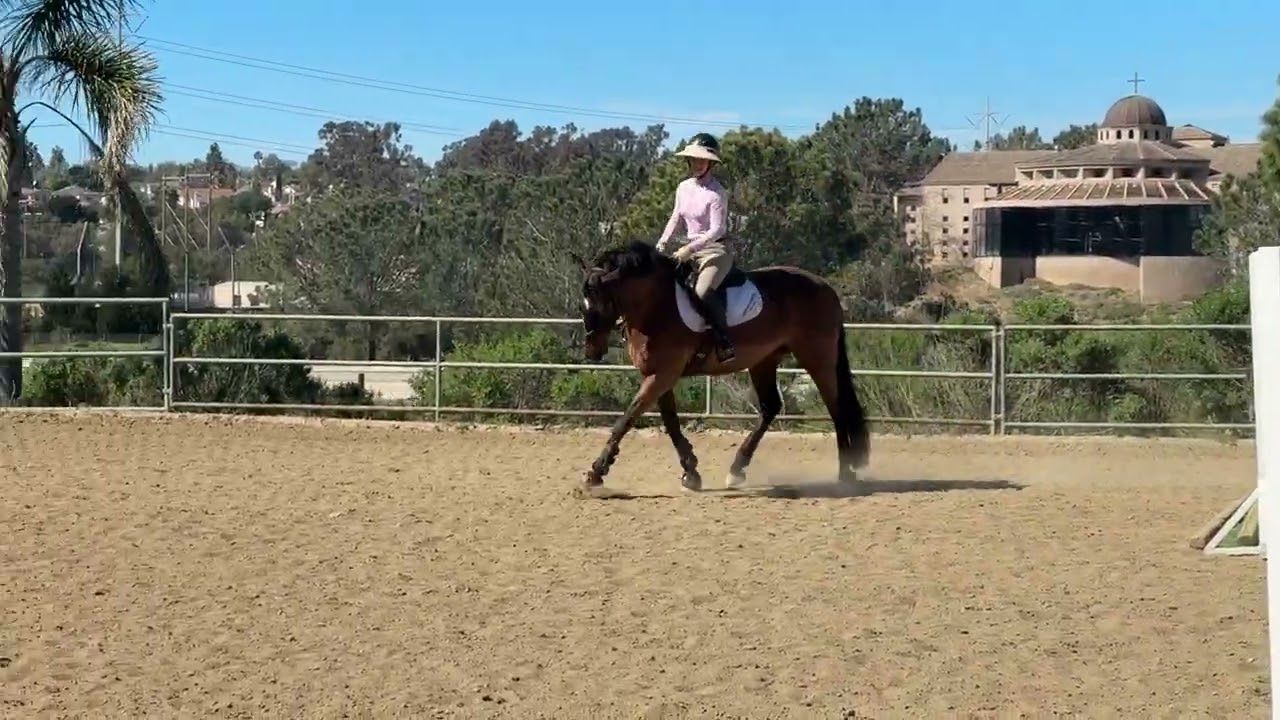 Stella Blue DFEN Flat Feb 27 2026