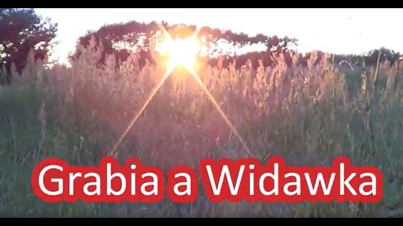 Grabia a Widawka