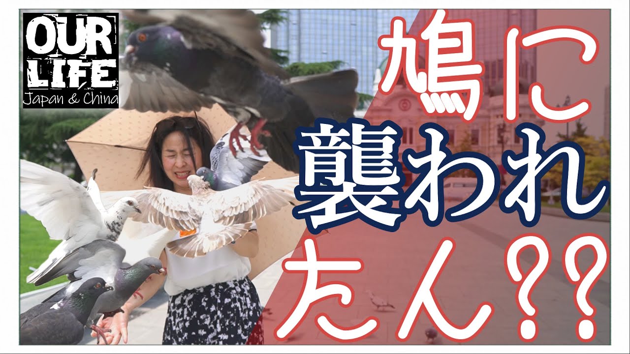 【昔の大連】中山広場(旧大広場)・大連飯店(旧遼東ホテル)・その他