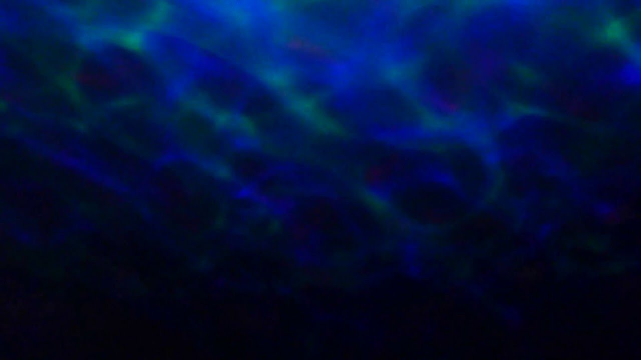 water wave ceiling projector