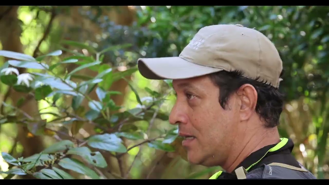Grande Montagne Nature Reserve-Île Rodrigues film Kite Surf Festival 2023-Go Green
