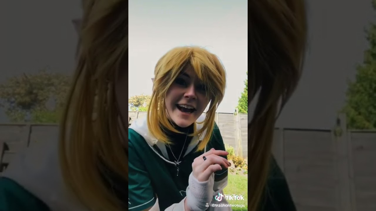 Legend of Zelda TikTok Compilation (warning: Linkcest)