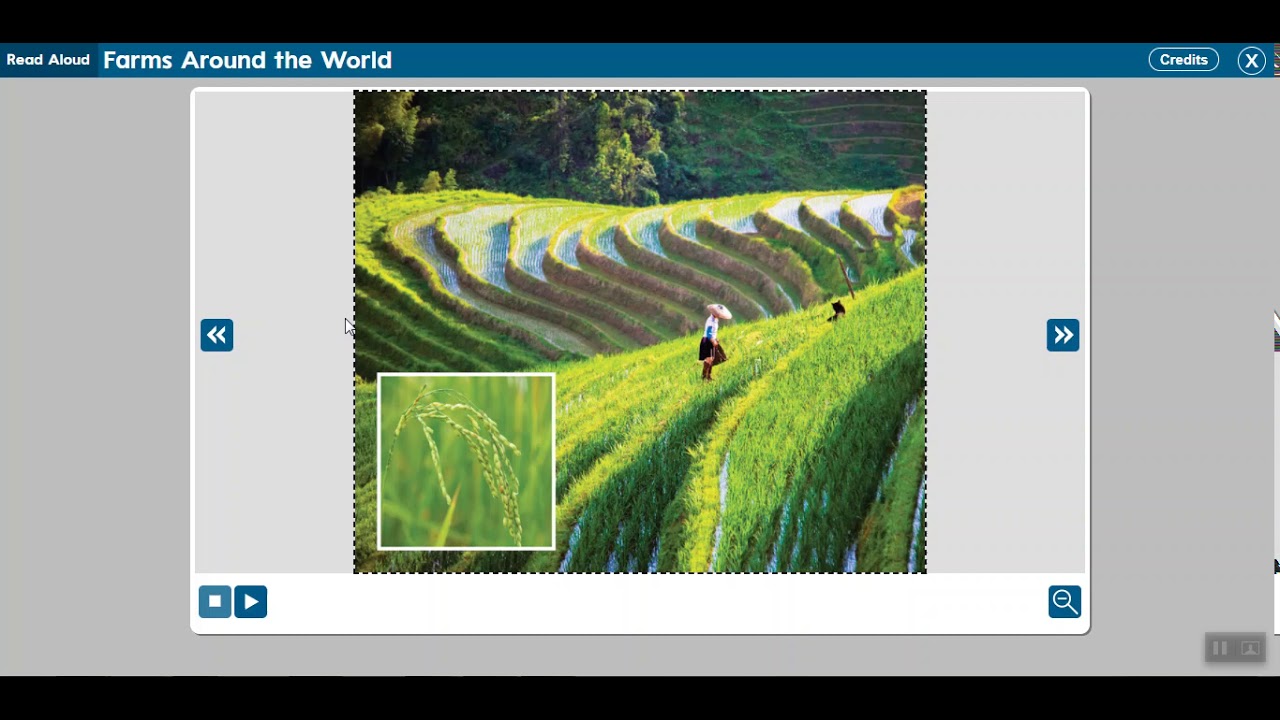 Wonders - Unit 5 Week 3 - Farms Around the World