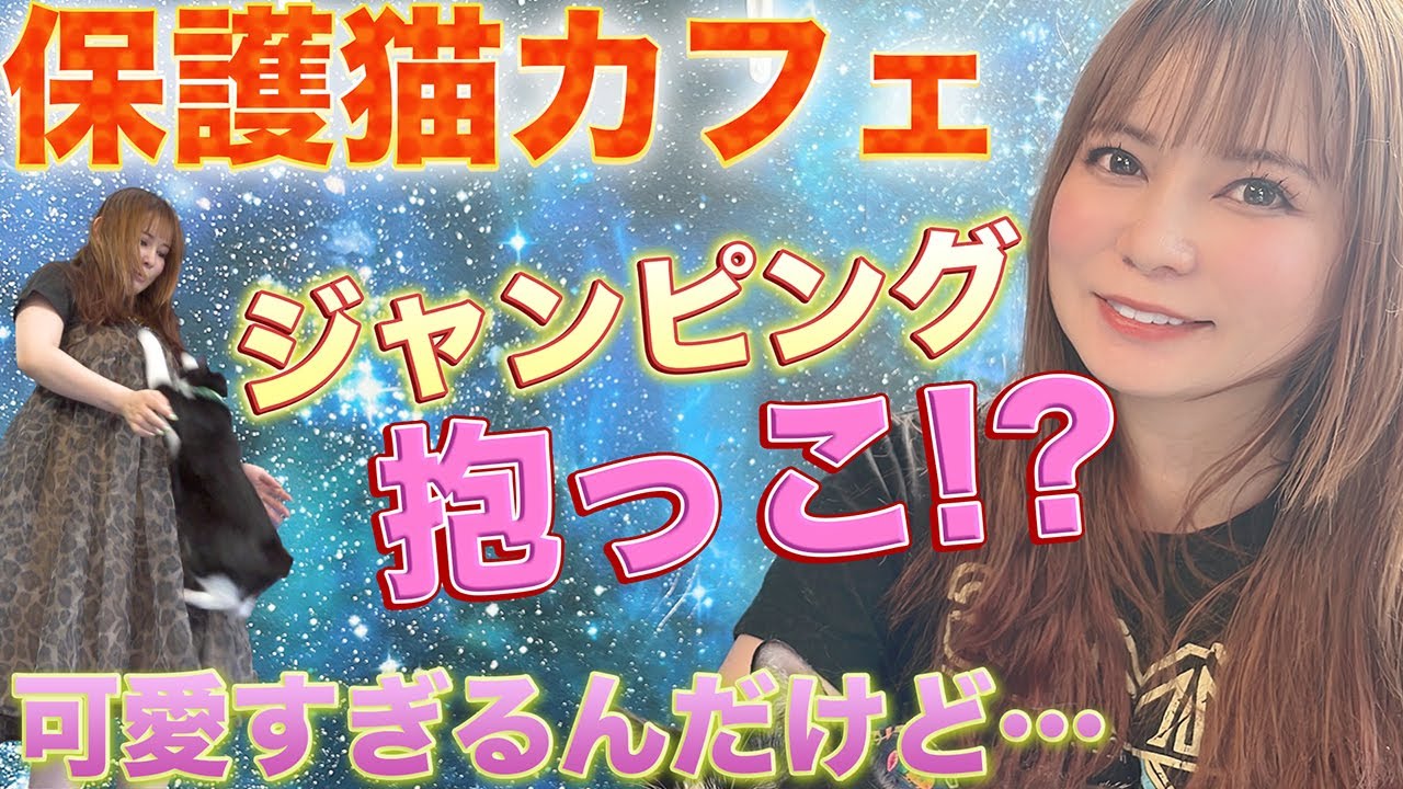 【尊すぎ】保護猫カフェで出会った猫の思わぬ特技に大興奮！