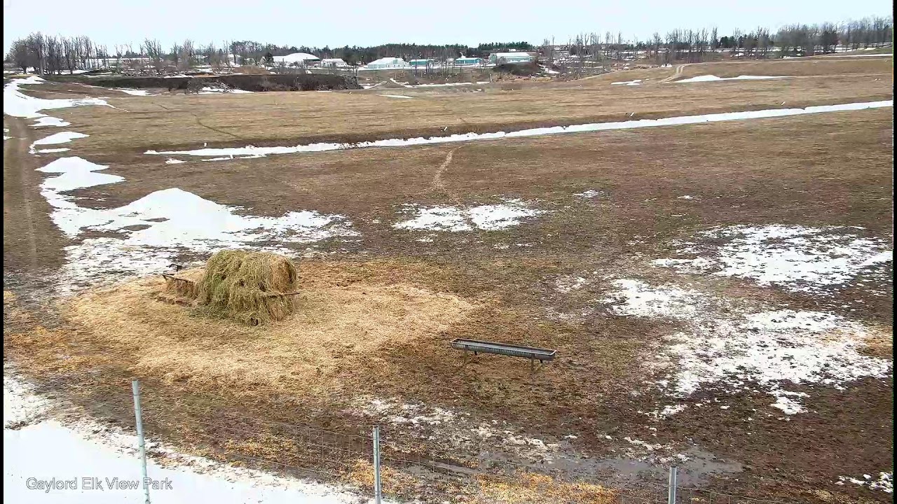 Gaylord Michigan Live Stream