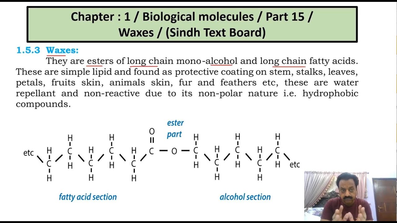 Chapter 1 : / Biological Molecules / Part 15 / Waxes / Sindh Text Board