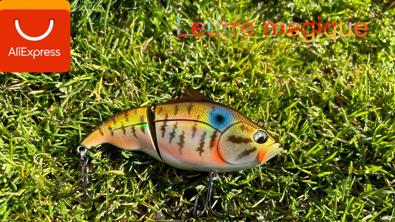 Ces LEURRES de chez ALIEXPRESS sont MAGIQUES !(pêche aux leurres )