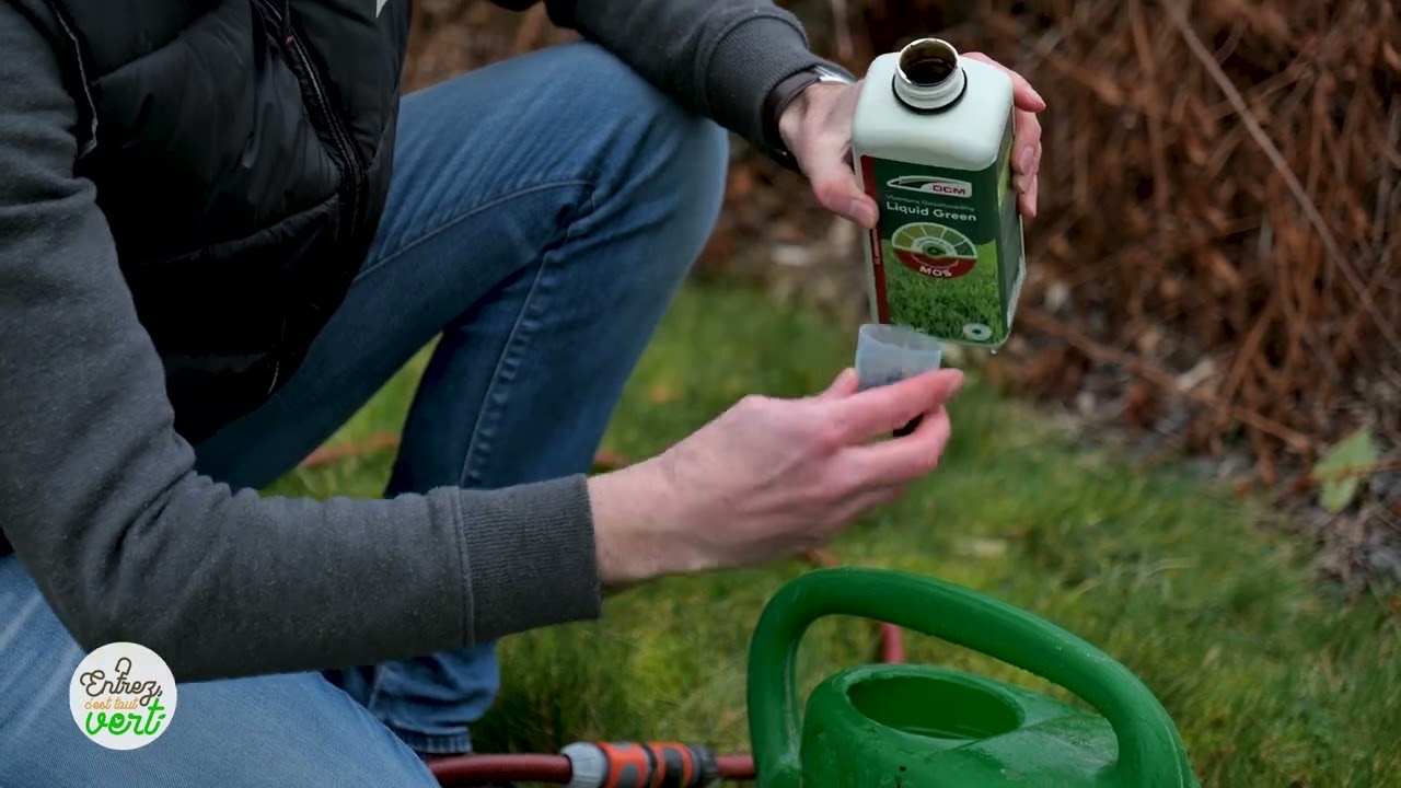 Comment éradiquer la mousse excédentaire dans votre gazon au printemps ?