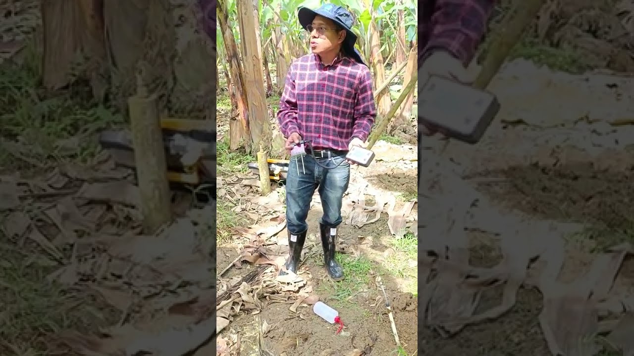 Uso del Medidor FieldScout TDR 150 de humedad y CE de suelo, en hcda. bananera