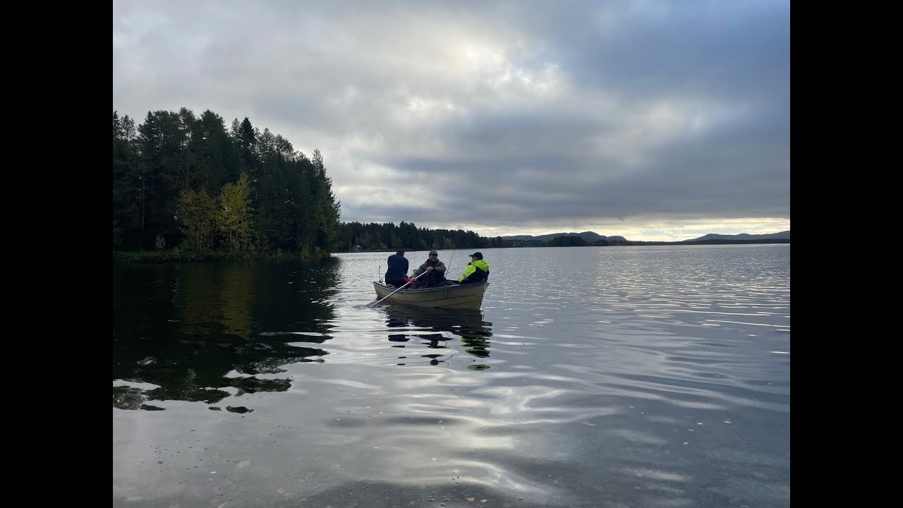 Žūklė šiaurės Švedijoje 2025m.