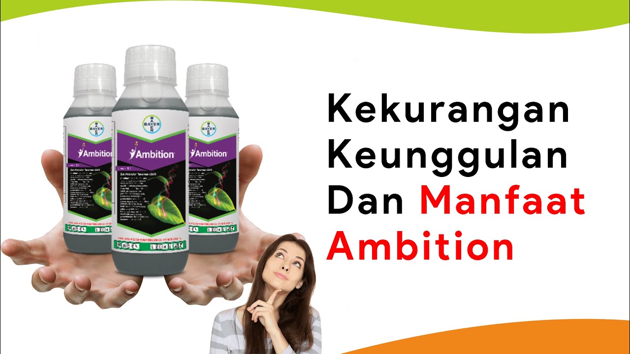 Asam Amino Ambition, Si Pemulih Tanaman dari Serangan Penyakit, Tanaman Sehat Buah Lebat