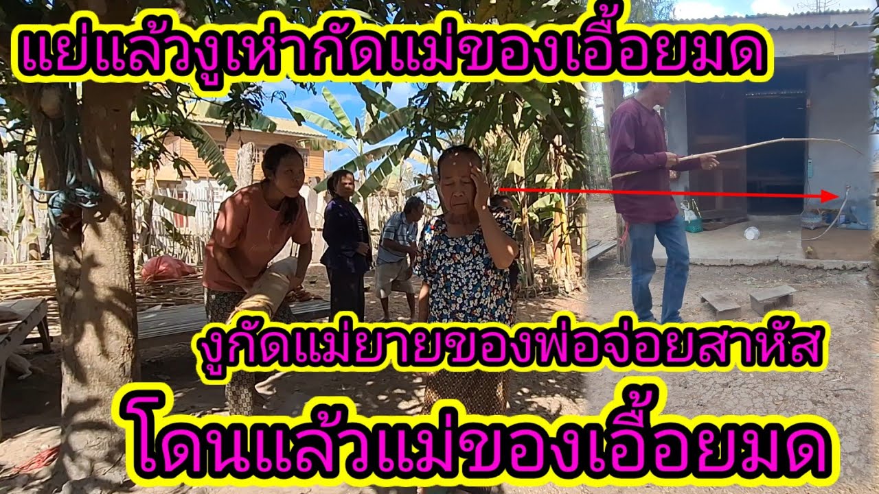 ด่วนๆ❗ชาวบ้านมารุมดูงูกัดแม่เอื้อยมดแย่แล้ว19 กุมภาพันธ์ ค.ศ. 2026