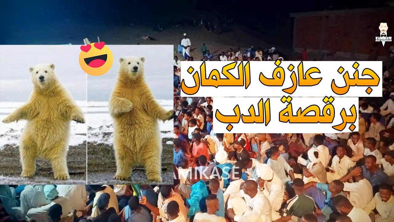 جنن عازف الكمان برقصة الدب سهرة عامة رشوق خيالية من ادرار 😍💥